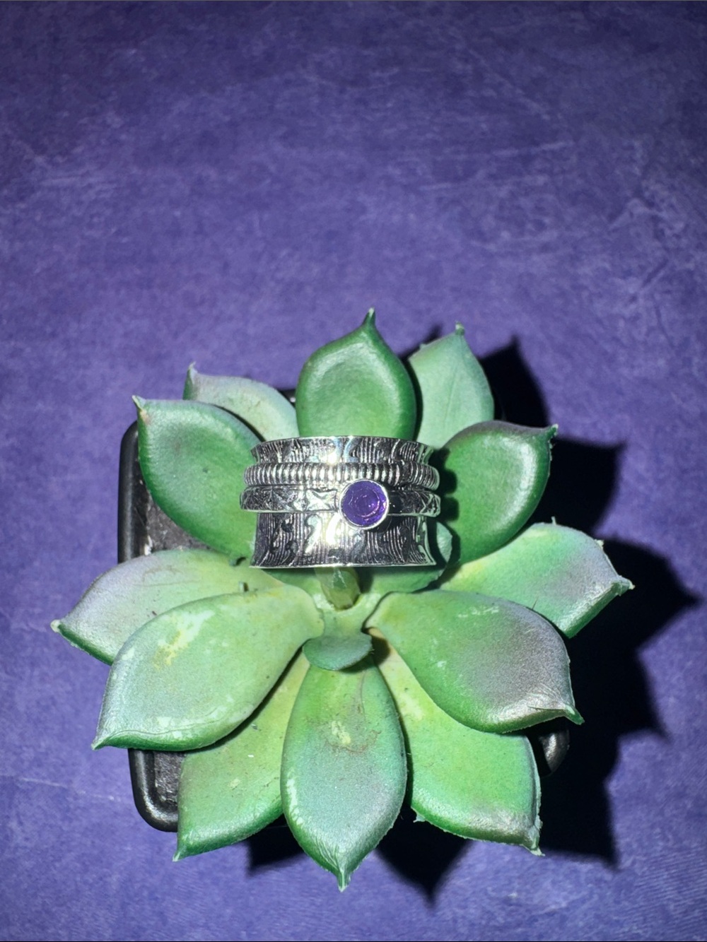 Silver Amethyst Spinner Ring
